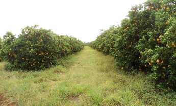 Imagem 6: Área, Porto, Capela do Alto - R$ 3.9 mi, Cod: 2592