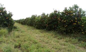 Imagem 7: Área, Porto, Capela do Alto - R$ 3.9 mi, Cod: 2592