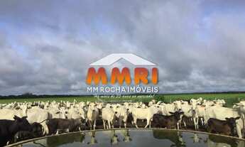 Imagem 2: FAZENDA - 1184 ALQUEIRES - SANTA ROSA - TOCANTINS / R$64MI (CÓD.4202