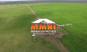 Imagem 3: FAZENDA - 1184 ALQUEIRES - SANTA ROSA - TOCANTINS / R$64MI (CÓD.4202