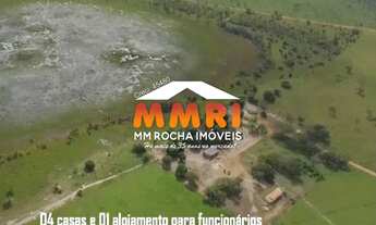 Imagem 4: FAZENDA - 1184 ALQUEIRES - SANTA ROSA - TOCANTINS / R$64MI (CÓD.4202