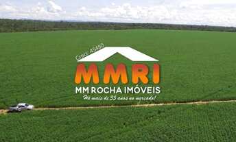 Imagem 5: FAZENDA - 1184 ALQUEIRES - SANTA ROSA - TOCANTINS / R$64MI (CÓD.4202