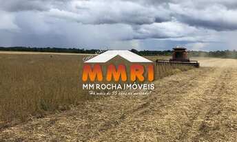 Imagem 6: FAZENDA - 1184 ALQUEIRES - SANTA ROSA - TOCANTINS / R$64MI (CÓD.4202