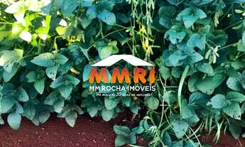 Imagem 2: Fazenda à venda em Cornélio Procópio/PA