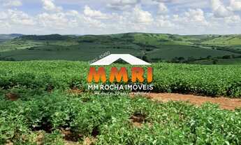 Imagem 4: Fazenda à venda em Cornélio Procópio/PA