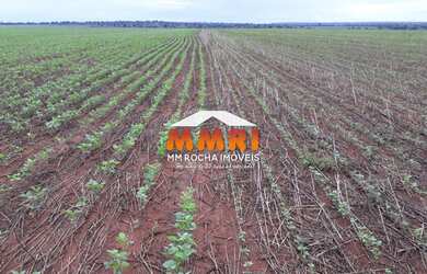 Imagem 5: FAZENDA - MATO GROSSO / R$8.400.000,00 (COD 4350