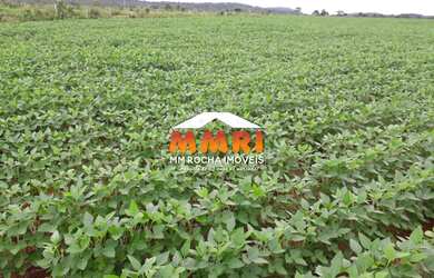 Imagem 3: FAZENDA - MATO GROSSO / R$8.400.000,00 (COD 4350