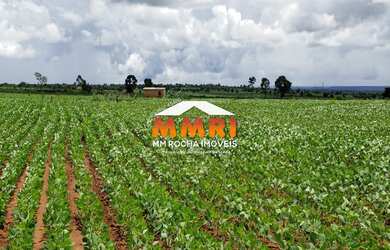 Imagem 6: FAZENDA - MATO GROSSO / R$8.400.000,00 (COD 4350