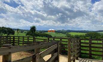 Imagem: Imperdível sítio de 17 alqueires à venda