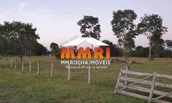 Imagem 7: Fazenda em Ribeirão Cascalheira/MT