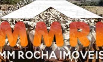 Imagem 7: Fazenda em Primavera do Leste/MT