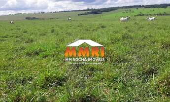 Imagem 5: Fazenda à Venda em Avaré/SP