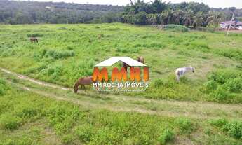 Imagem 7: Fazenda à Venda em Primavera do Leste/MT