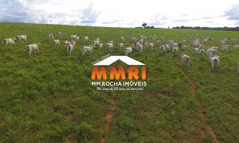 Imagem: Fazenda à Venda em Primavera do Leste/MT