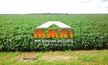 Imagem 2: Fazenda de Dupla aptidão a venda em Porto Alegre do Norte - MT