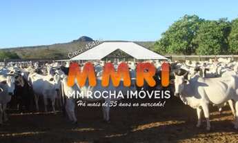 Imagem 3: Fazenda para Pecuária na região do Vale do Gurgueia /PI