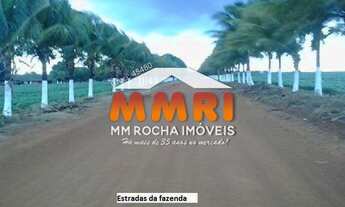 Imagem 3: Fazenda de Dupla aptidão a venda em Porto Alegre do Norte - MT