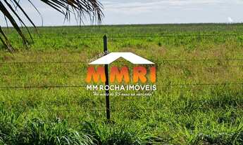 Imagem 5: Fazenda a Venda na Região de Palmas/TO