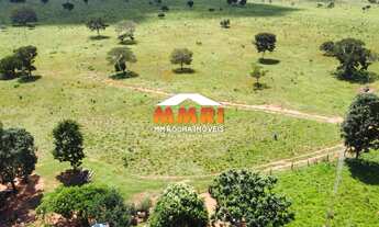 Imagem 7: Fazenda em Novo Joaquim/MT