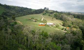 Imagem: Sítio com 4 Alqueires no Novo Horizonte