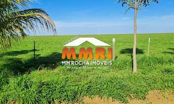 Imagem 6: Fazenda a Venda na Região de Palmas/TO