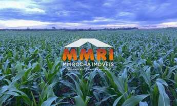 Imagem: Fazenda na Divisa de Goiais/Mato Grosso