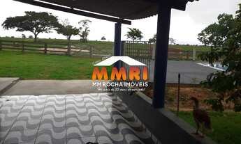 Imagem 5: Fazenda a venda na região de Novo São Joaquim/MT