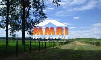 Imagem: Fazenda de Dupla Aptidão à venda em Pompeia/SP