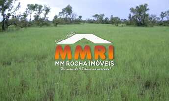 Imagem: Fazenda de Dupla Aptidão à venda em São