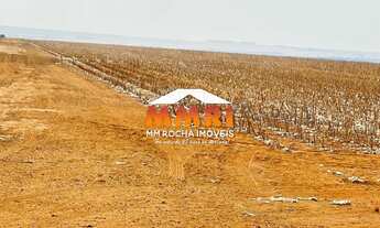 Imagem: Fazenda de Algodão a Venda no Mato Grosso