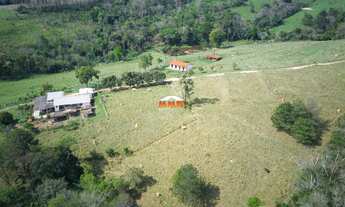 Imagem 6: Sítio com 4 Alqueires no Novo Horizonte em Araçoiaba da Serra/SP