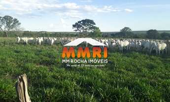 Imagem: Fazenda a venda na região de Novo São