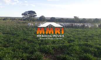 Imagem 7: Fazenda a venda na região de Novo São Joaquim/MT