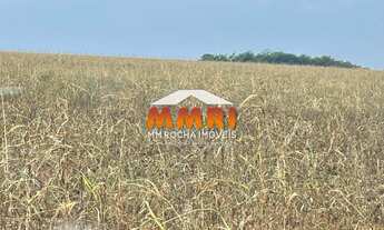 Imagem: Fazenda de Lavoura em Mato Grosso