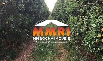 Imagem 3: Fazenda de Laranja à venda em Arandu/SP