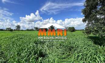 Imagem: Fazenda de Pecuária à Venda em Cocalinho/MT