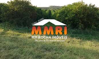 Imagem 2: Fazenda de Laranja à venda em Arandu/SP