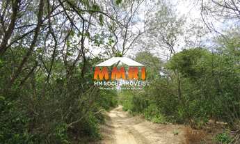 Imagem 3: Fazenda à Venda em em Bom Jesus/PI