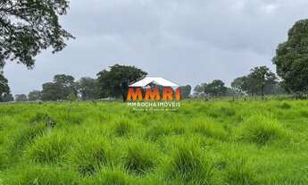 Imagem 6: Fazenda de Pecuária à Venda em Cocalinho/MT