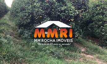 Imagem 4: Fazenda de Laranja à venda em Arandu/SP