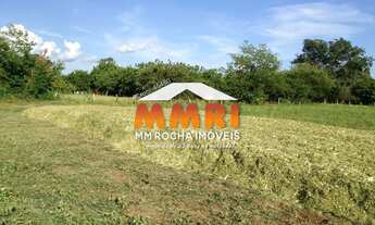 Imagem 5: Fazenda de Pecuária à Venda em Cocalinho/MT