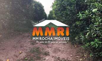 Imagem 6: Fazenda de Laranja à venda em Arandu/SP