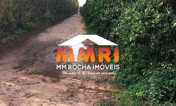 Imagem 7: Fazenda de Laranja à venda em Arandu/SP