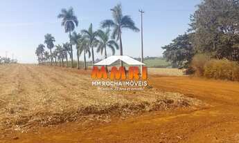 Imagem 6: Fazenda de Cana à Venda na região de Mococa/SP