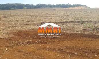 Imagem 4: Fazenda de Cana à Venda na região de Mococa/SP