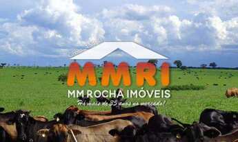 Imagem: Fazenda de Dupla Aptidão em Nova Ubiratã/MT
