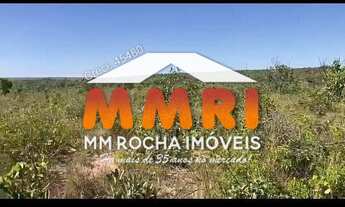 Imagem: Fazenda de Dupla Aptidão em Tocantins