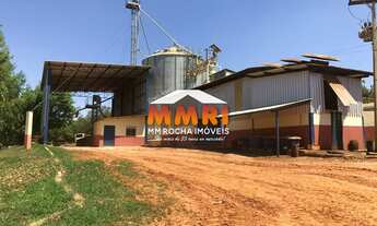 Imagem: Fazenda Leiteira à Venda em Bom Despacho