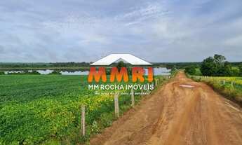 Imagem 7: Fazenda de Dupla Aptidão à venda em Santa Fé do Tocantins/TO