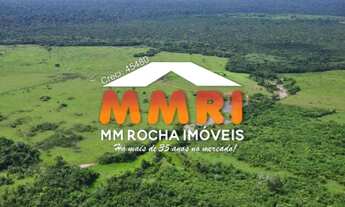 Imagem: Fazenda de Dupla Aptidão à Venda em Mato